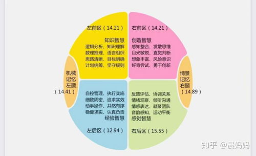腦象測評 大腦使用說明書的醫(yī)學研究與試驗發(fā)展
