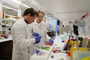 澳洲名校之路 醫(yī)學(xué)研究與試驗(yàn)發(fā)展的重要性與路徑